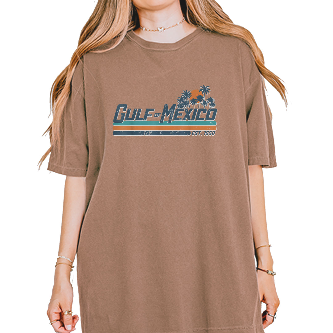 Gulf Of Mexico Established Year 1550 Vintage Soft Unisex T-shirt Espresso