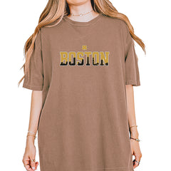 Boston City Pride Irish Vintage Soft Unisex T-shirt Espresso