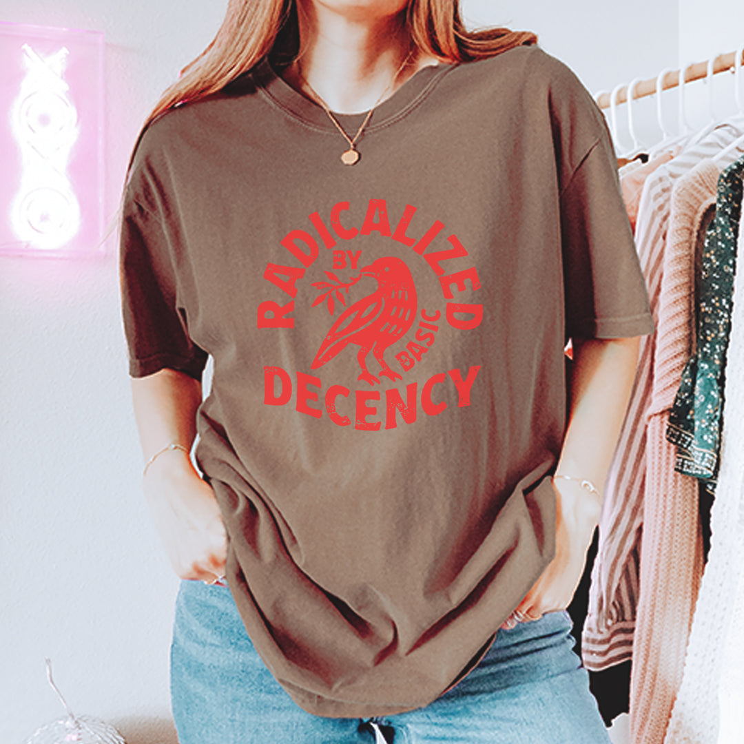 Radicalized by Basic Decency Dove Protest Statement Vintage Soft Unisex T-shirt 