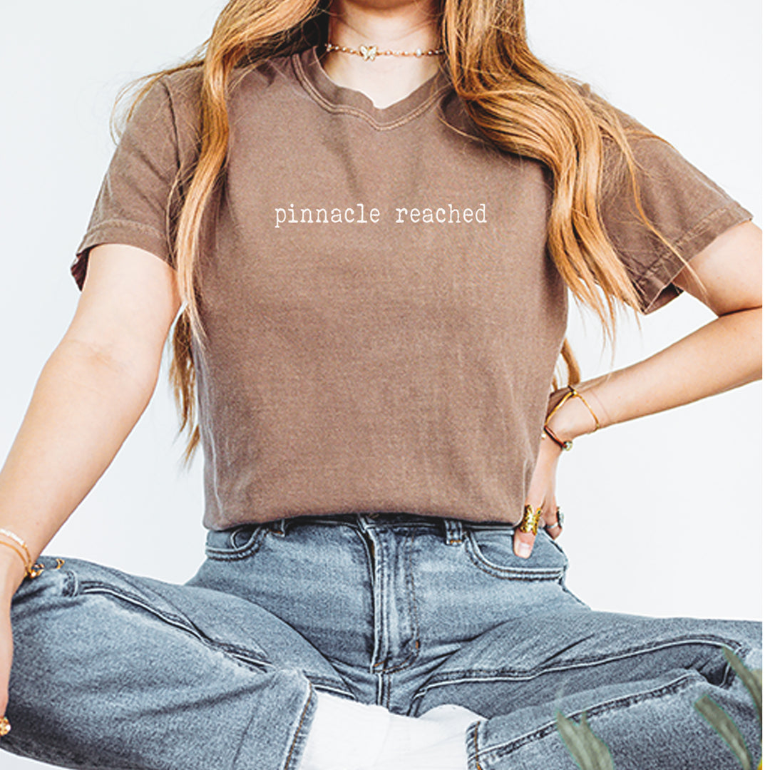 Pinnacle Reached Romance Vintage Soft Unisex T-shirt 