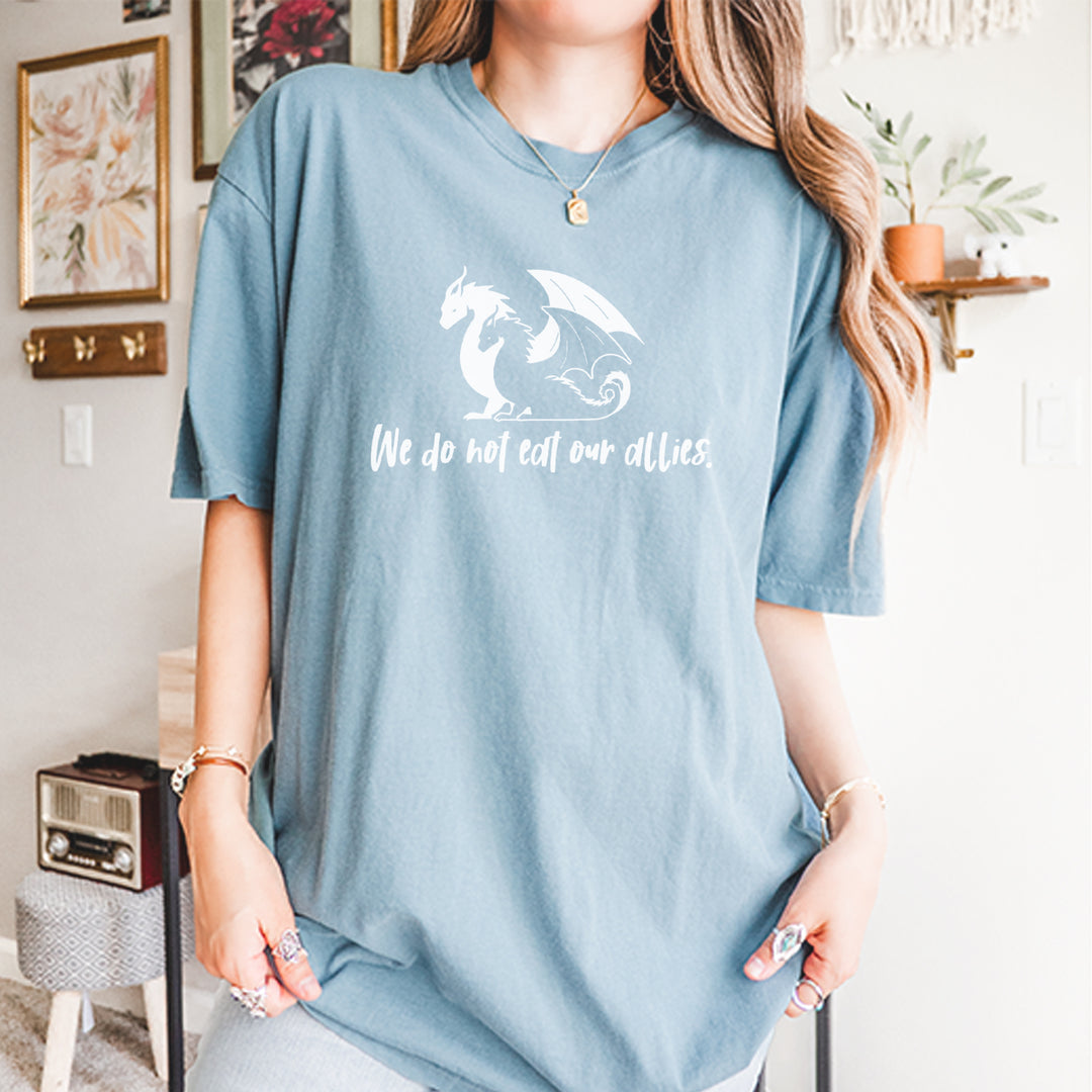 We Do Not Eat Our Allies Fourth Wing Basgiath Vintage Soft Unisex T-shirt 