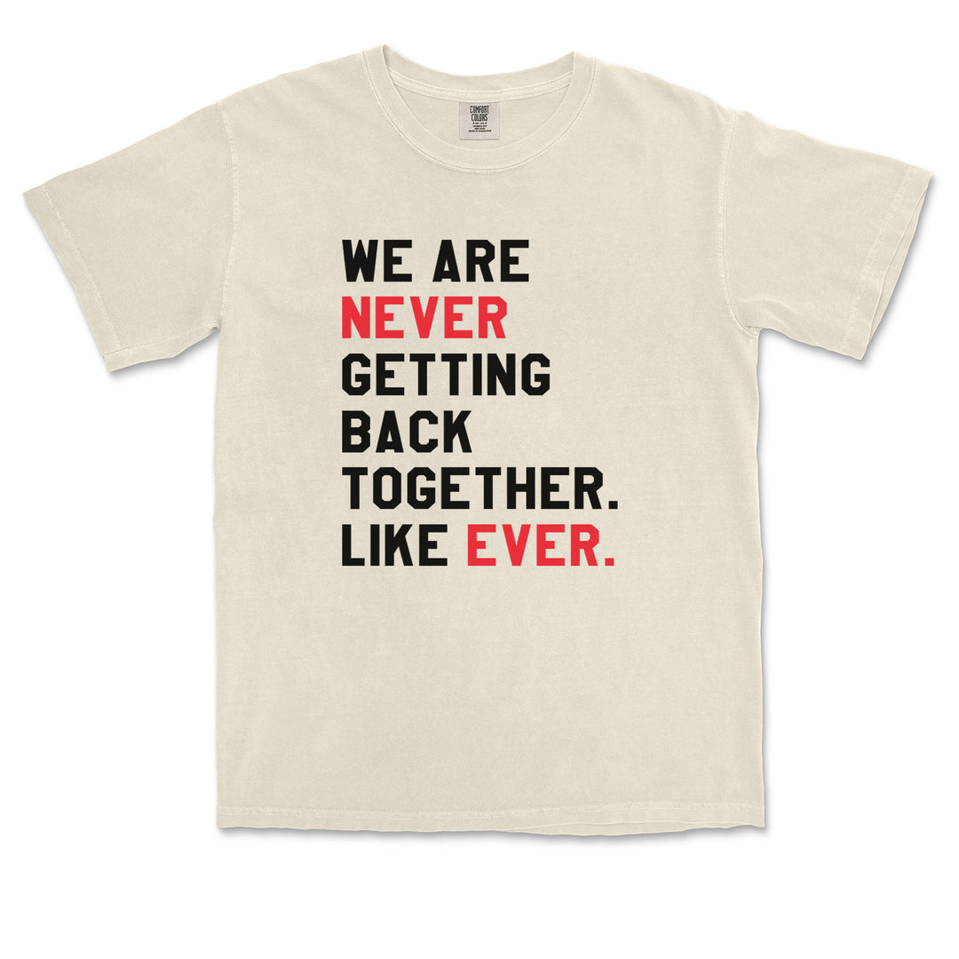 We Are Never Getting Back Together TTPD Eras Outfit Vintage Soft Unisex T-shirt