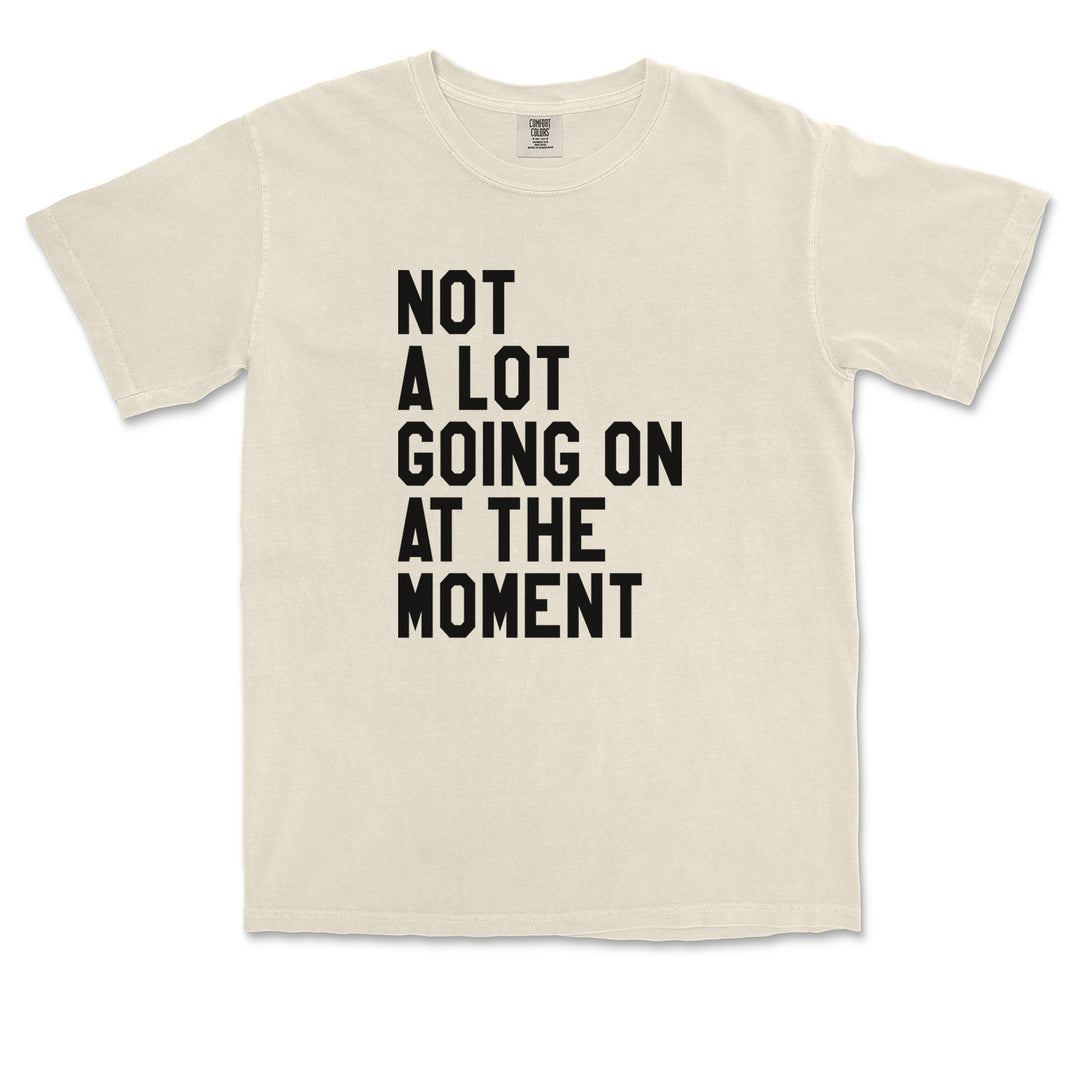 NOT A Lot Going On At The Moment Feeling 22 TTPD Vintage Soft Unisex T-shirt