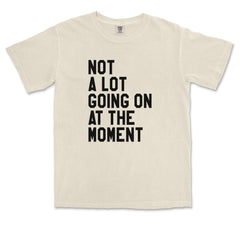 NOT A Lot Going On At The Moment Feeling 22 TTPD Vintage Soft Unisex T-shirt