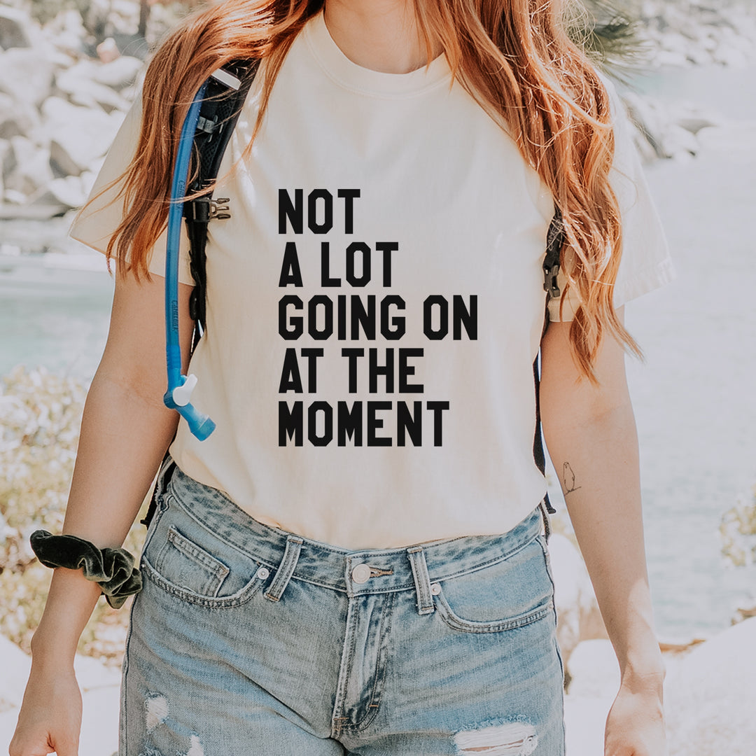 NOT A Lot Going On At The Moment Feeling 22 TTPD Vintage Soft Unisex T-shirt