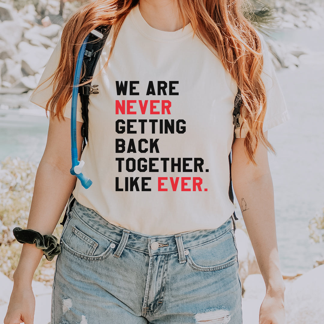 We Are Never Getting Back Together TTPD Eras Outfit Vintage Soft Unisex T-shirt