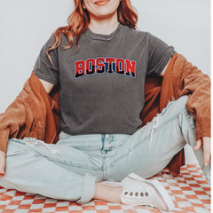 Boston City Pride Skyline Vintage Soft Unisex T-shirt 
