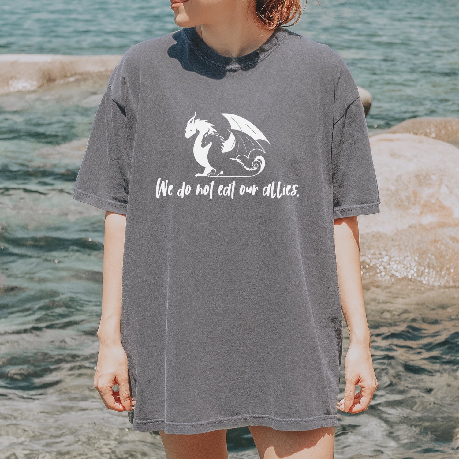 We Do Not Eat Our Allies Fourth Wing Basgiath Vintage Soft Unisex T-shirt 