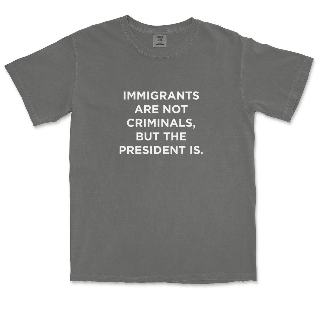 Immigrants Are Not Criminals Vintage Soft Unisex T-shirt 