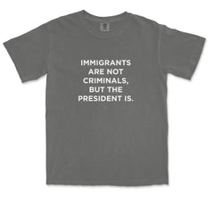 Immigrants Are Not Criminals Vintage Soft Unisex T-shirt 