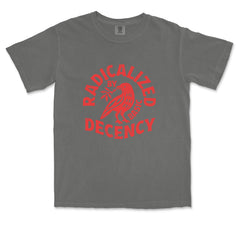Radicalized by Basic Decency Dove Protest Statement Vintage Soft Unisex T-shirt 