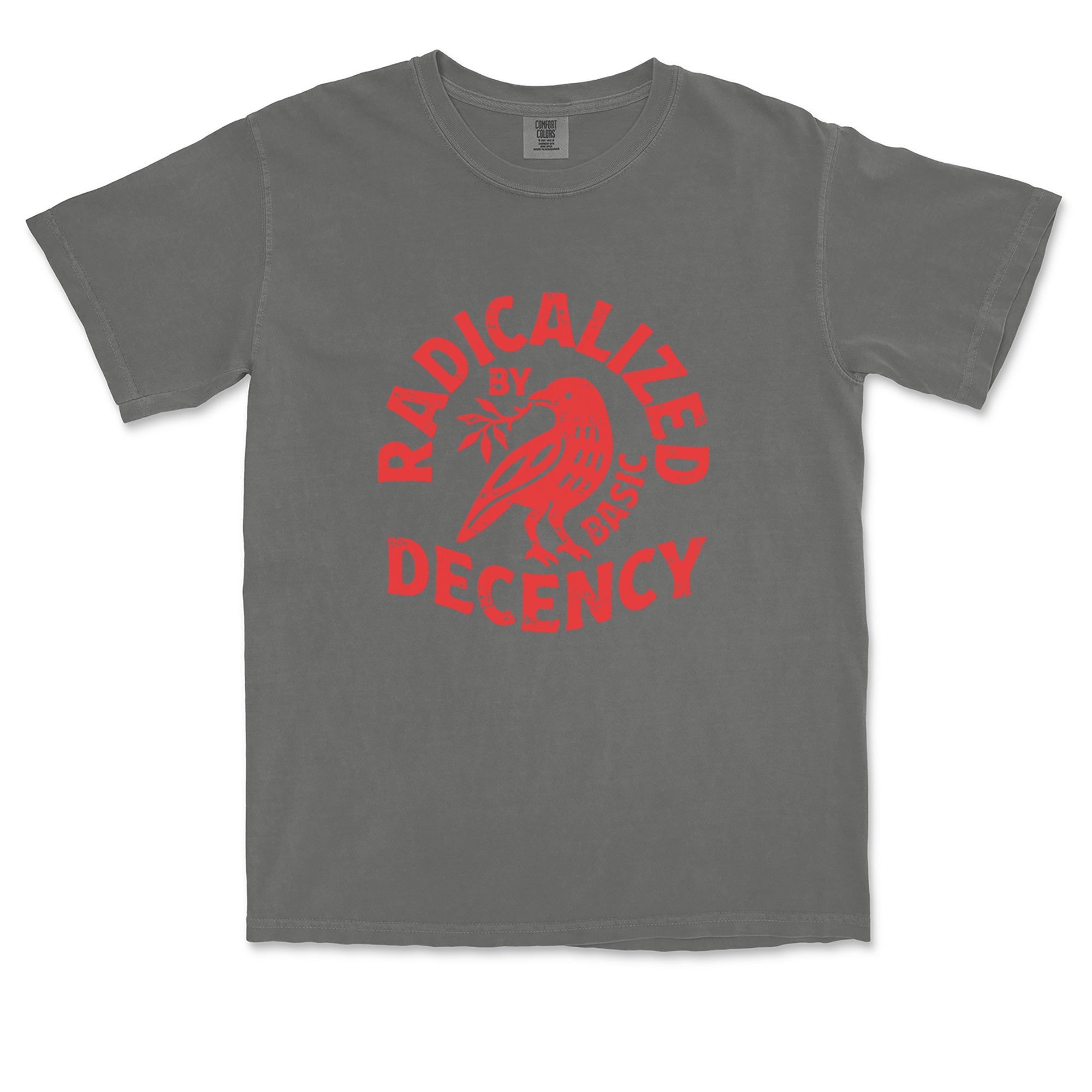 Radicalized by Basic Decency Dove Protest Statement Vintage Soft Unisex T-shirt 