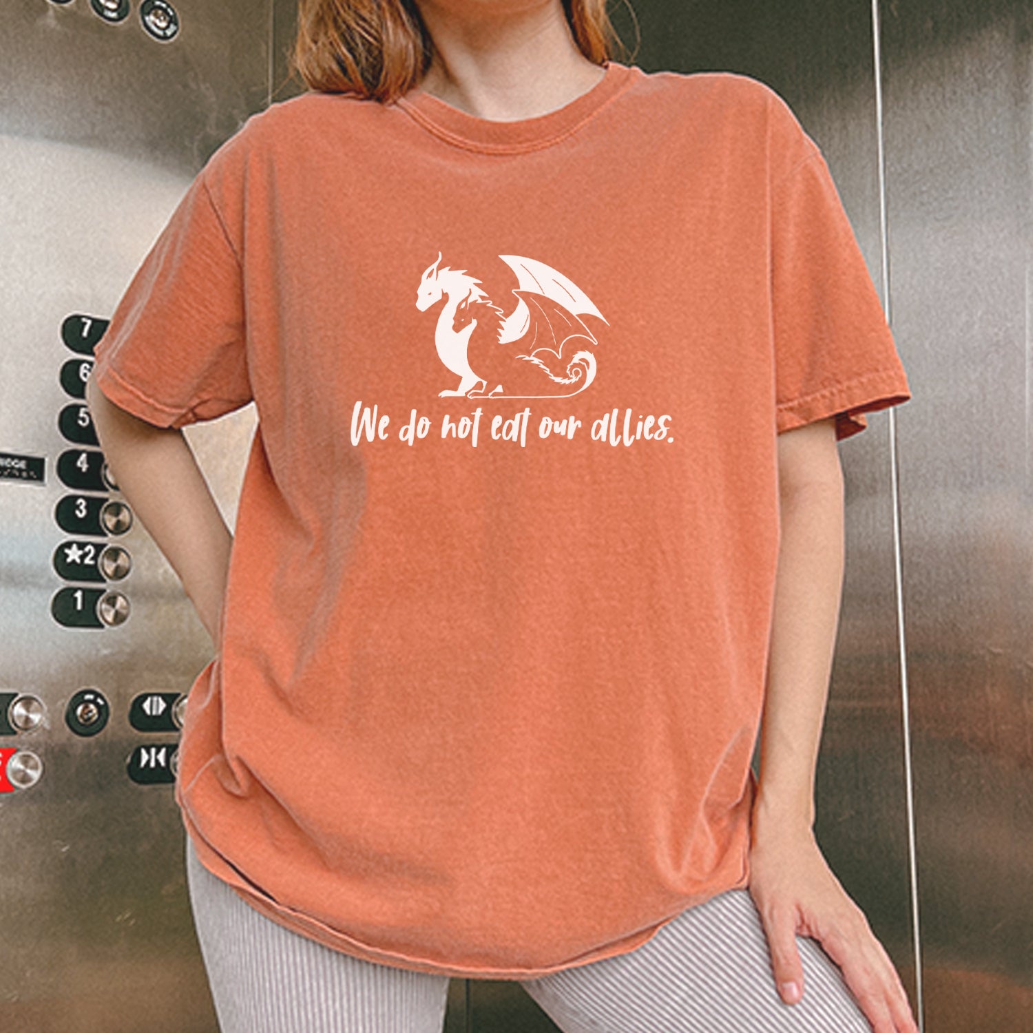 We Do Not Eat Our Allies Fourth Wing Basgiath Vintage Soft Unisex T-shirt 