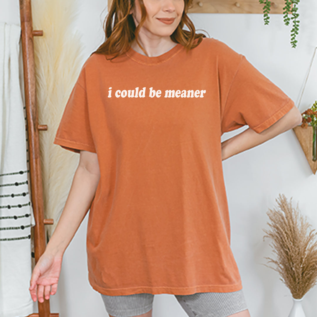 I could be meaner Vintage Soft Unisex T-shirt 