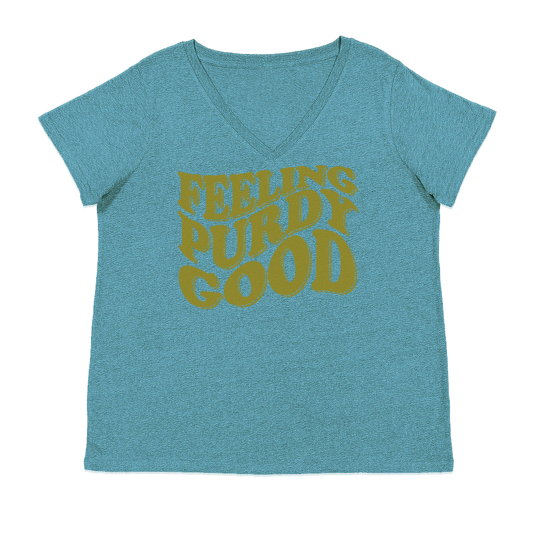 Feeling Purdy Good San Francisco Ladies V-Neck T-shirt Surf