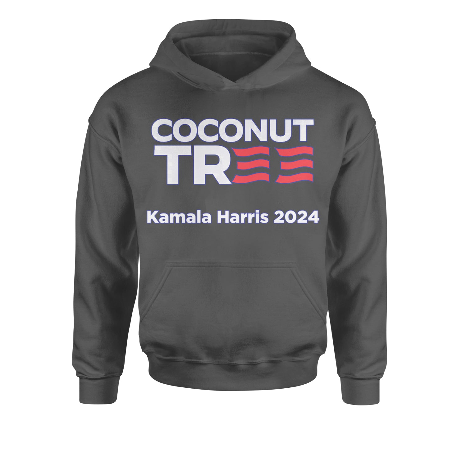 Coconut Tree - Support Kamala Harris For President 2024 Youth-Sized Hoodie Charcoal Grey