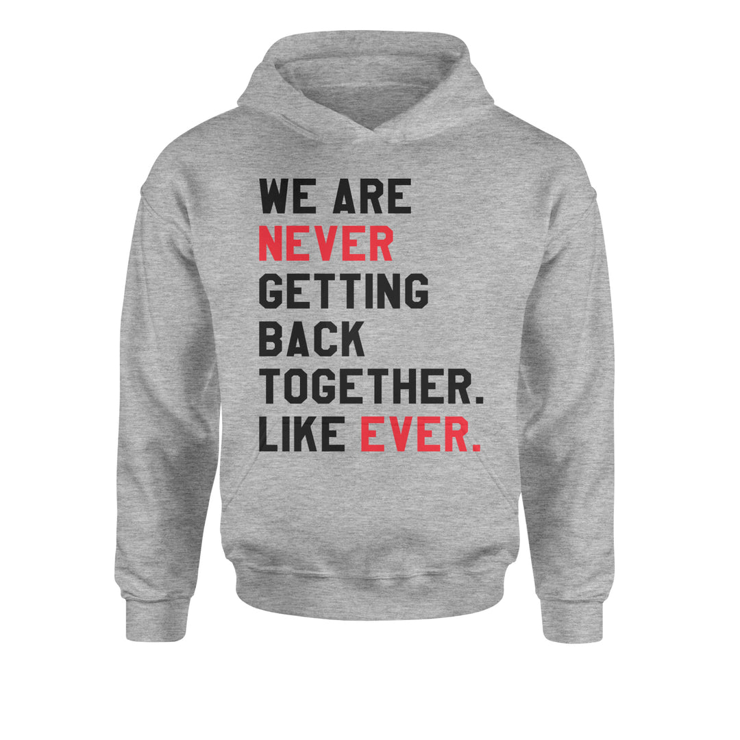 We Are Never Getting Back Together TTPD Eras Outfit Youth-Sized Hoodie Heather Grey