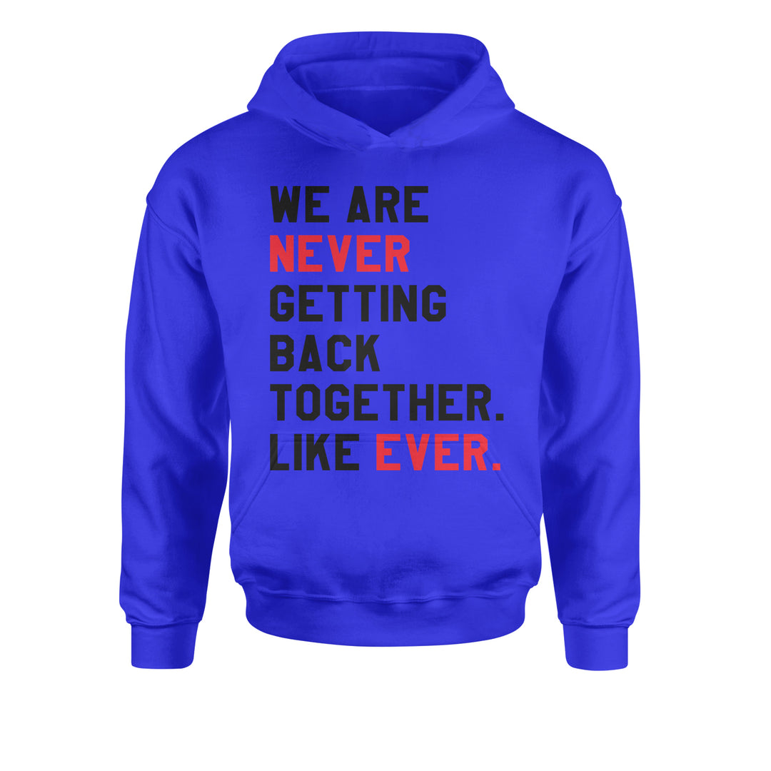 We Are Never Getting Back Together TTPD Eras Outfit Youth-Sized Hoodie Royal Blue
