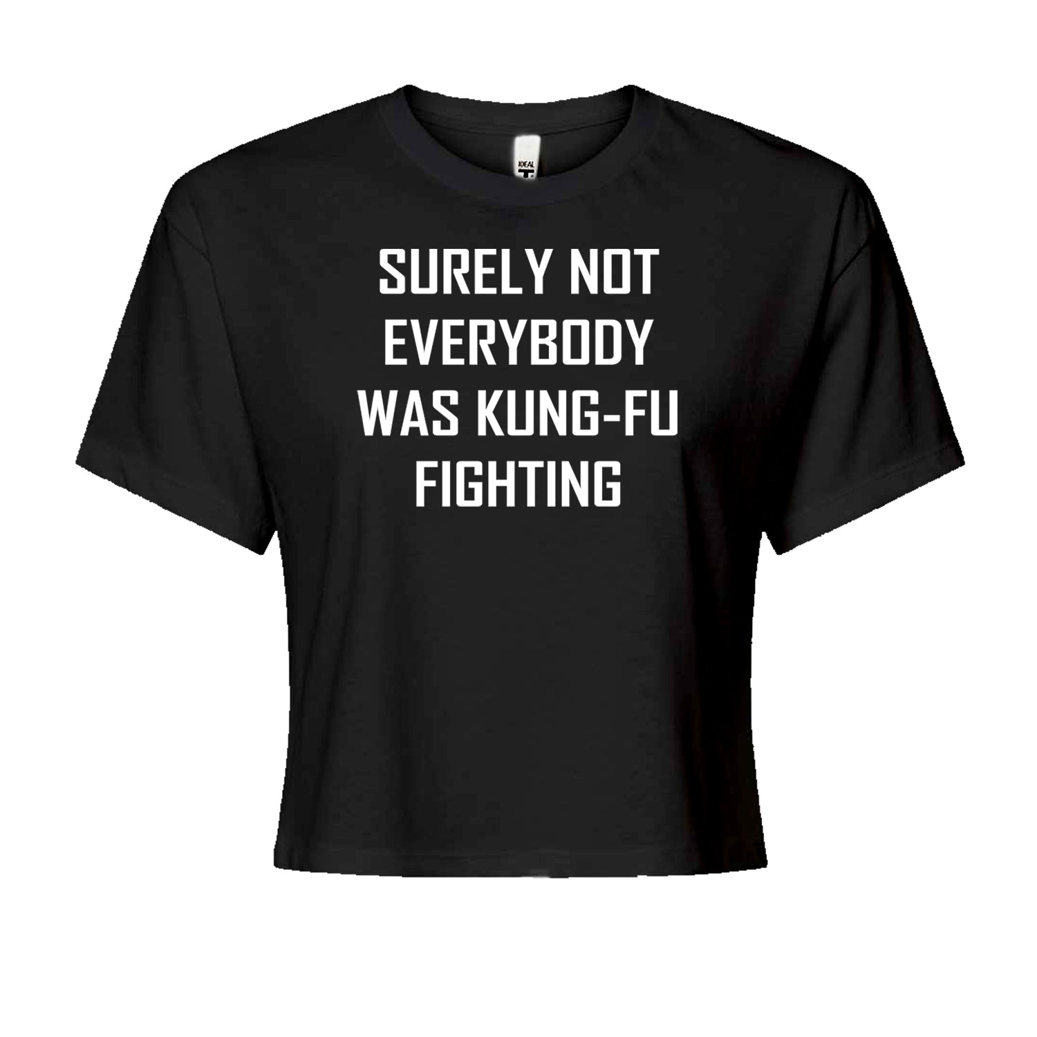Surely Not Everybody Was Kung-Fu Fighting  Cropped T-Shirt