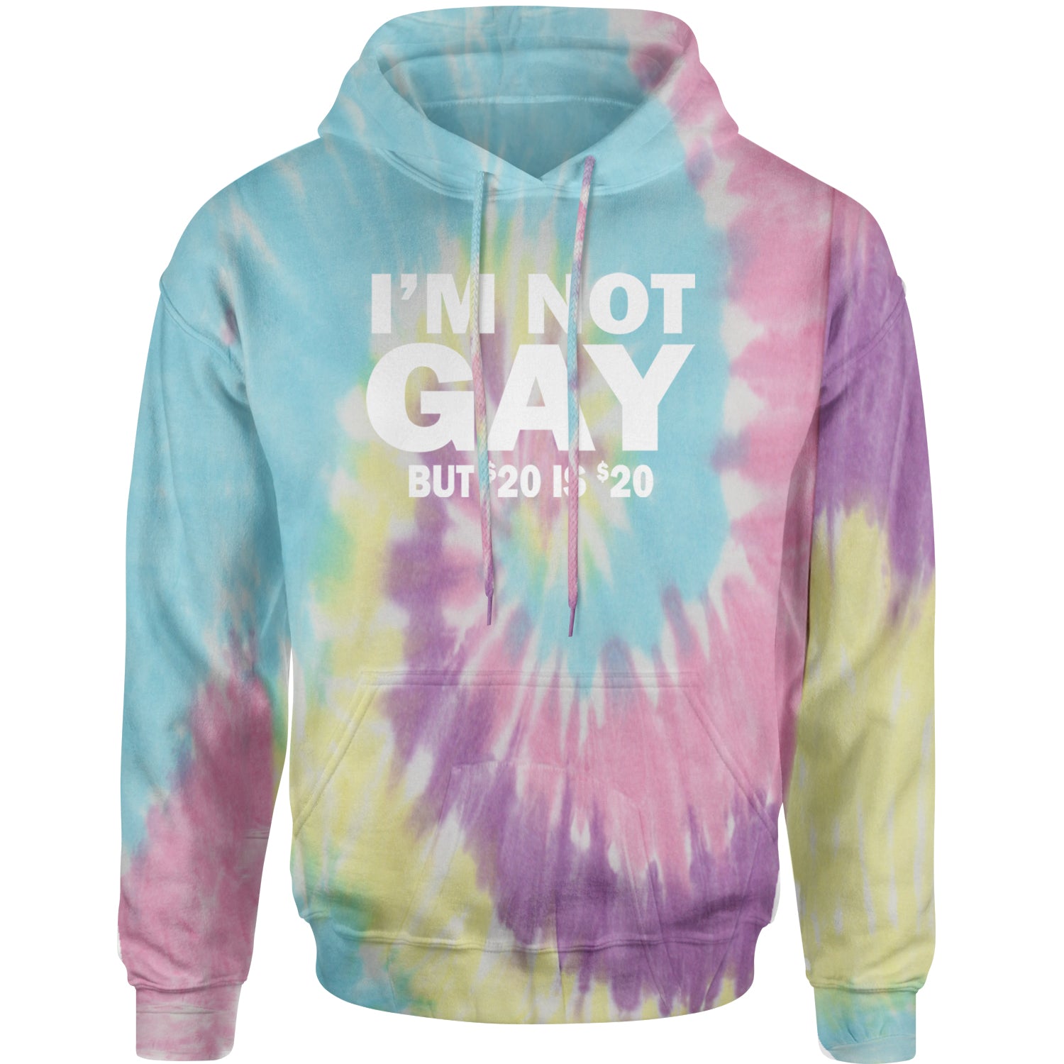 I'm Not Gay, But $20 Bucks is $20 Bucks Adult Hoodie Sweatshirt