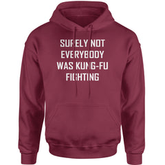 Surely Not Everybody Was Kung-Fu Fighting  Adult Hoodie Sweatshirt