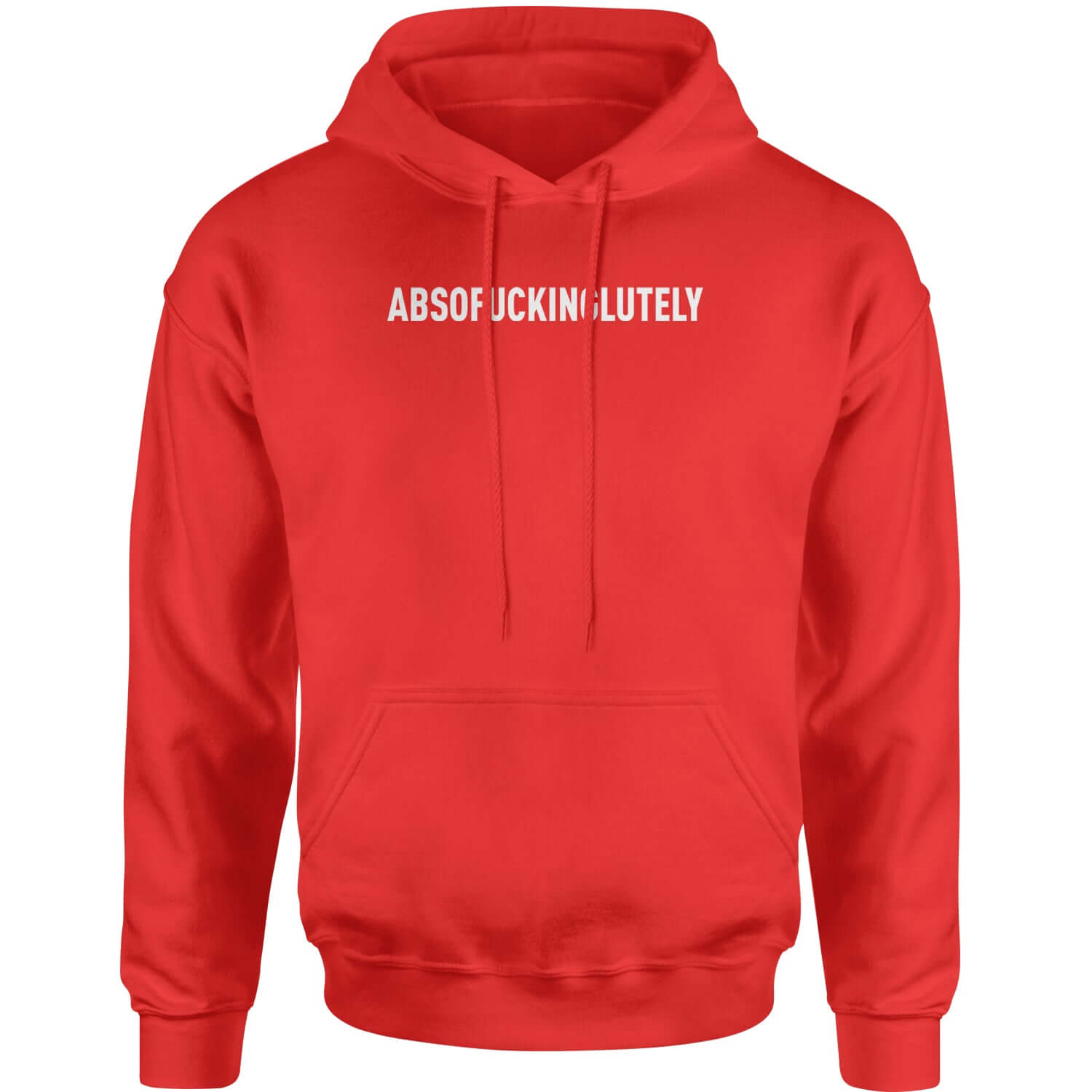 Abso f-cking lutely Adult Hoodie Sweatshirt funny, shirt by Expression Tees